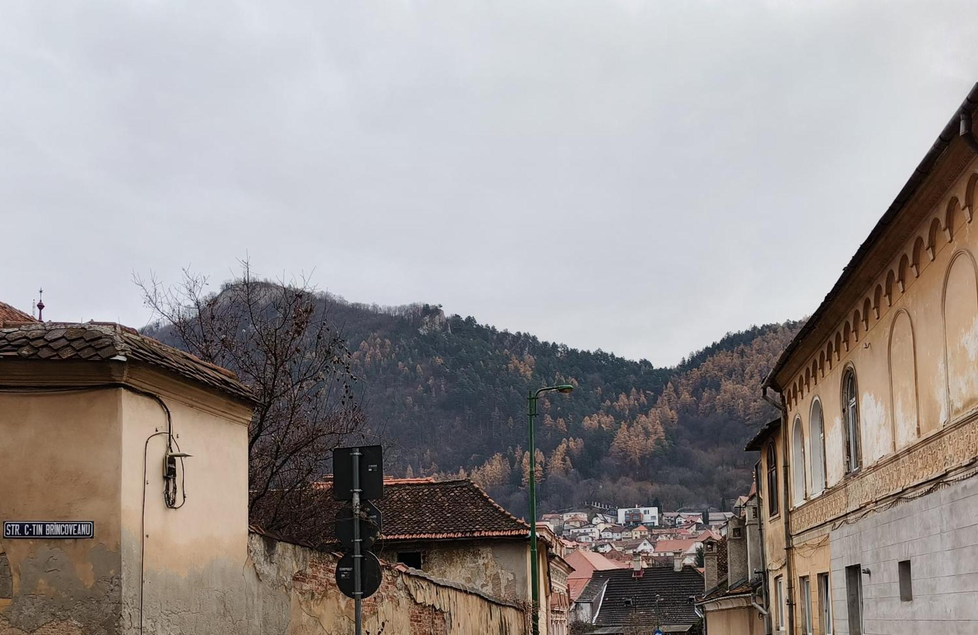 Golden Greens Studio - Mountain Scenery Brasov Bagian luar foto